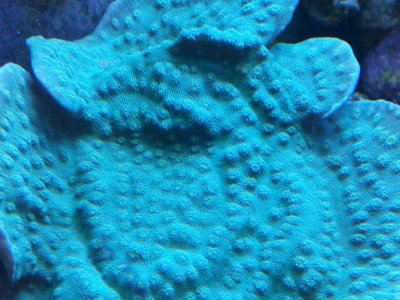 C360_2012-01-20-16-42-16.jpg