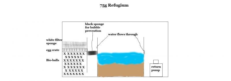 Refugium Sketch.jpg