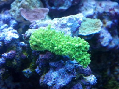 C360_2012-01-20-16-54-27.jpg