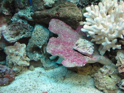 IMG_0011 (Large).jpg