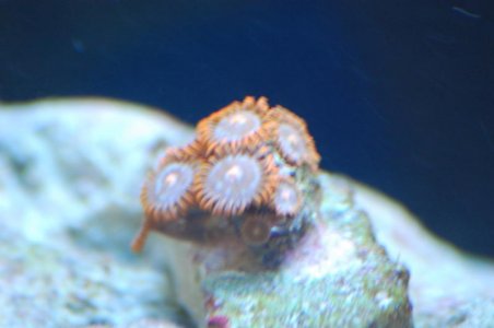 DSC_0038.jpg