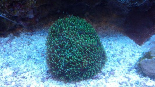 2012-01-29_17-31-41_365.jpg