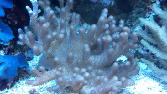 2012-01-29_17-30-28_692.jpg