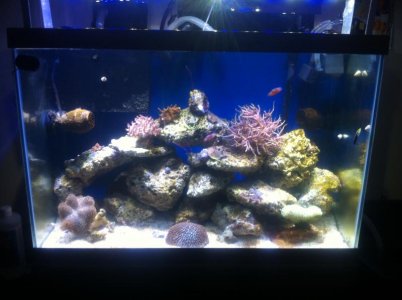 IMG_0556.jpg IMG_0556.jpg