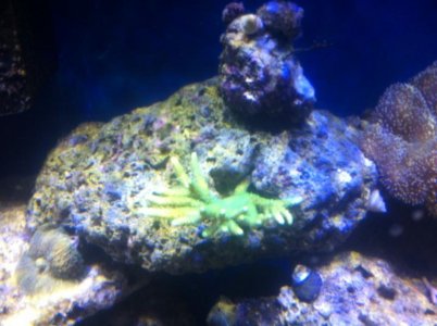 IMG_0572.jpg