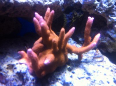 IMG_0743.jpg