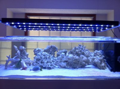 tank photo.jpg