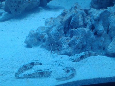 IMG045.jpg