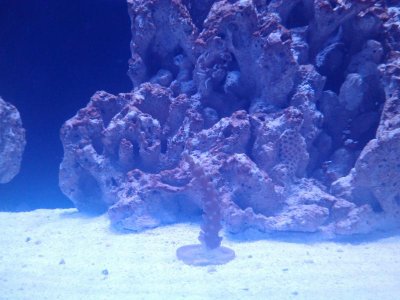 IMG064.jpg