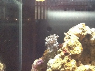 ImageUploadedByTapatalk HD1328404737.415655.jpg