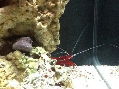 ImageUploadedByTapatalk HD1328404771.475466.jpg