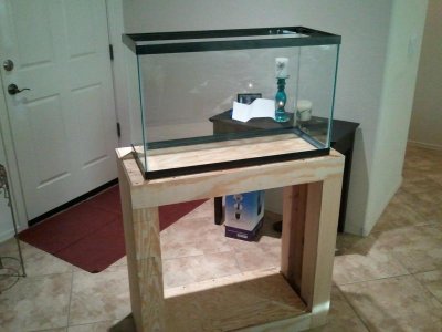 2012-01-02 16.53.07.jpg