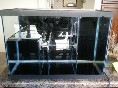 2012-01-16 10.39.01.jpg