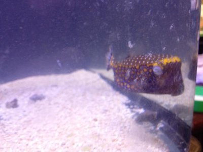 securedownload (2).jpg