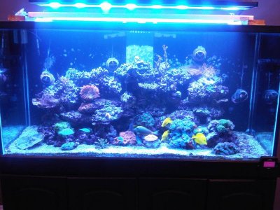 IMG-20120205-00085.jpg