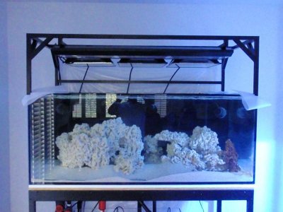 Canopy Installed.jpg