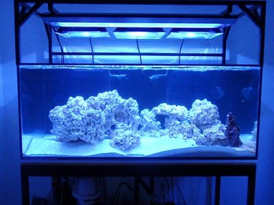 Tank with All Lights.jpg