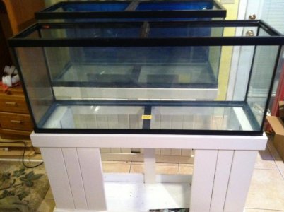 photo(1).jpg