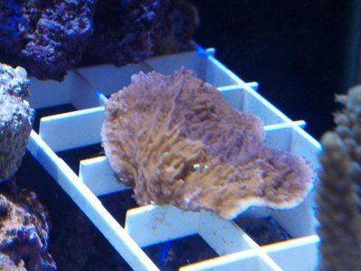 2012-01-23_20-52-27_175.jpg