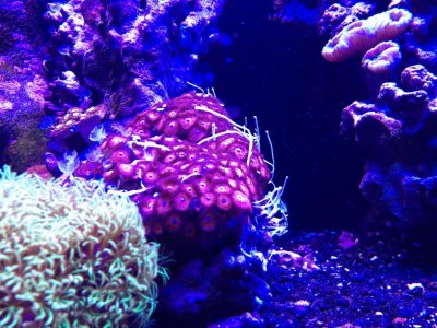 photo (5).jpg