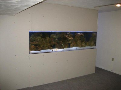 Tank Setup 14.jpg