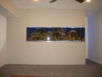 Tank Setup 15.jpg