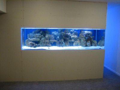 Tank Setup 17.jpg