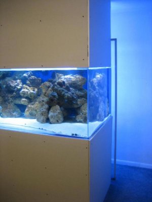 Tank Setup 18.jpg