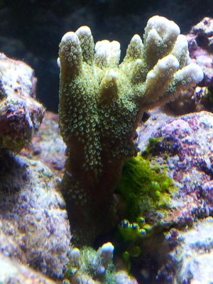 2011-11-28 10.59.57.jpg