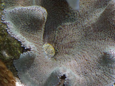 12-1-09 (3) (Small).JPG