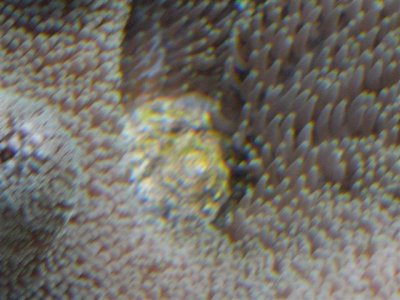 12-1-09 (7) (Small).JPG