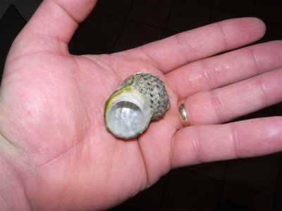 12-1-09 (9) (Small).JPG