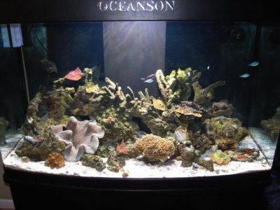 12-1-09 (Small).JPG