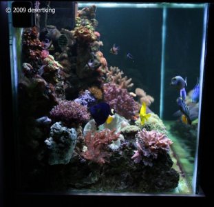 261109aquaplace06.jpg