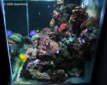 261109aquaplace29.jpg