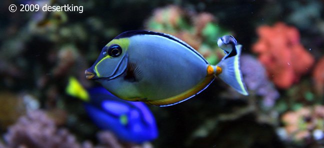 261109aquaplace21.jpg