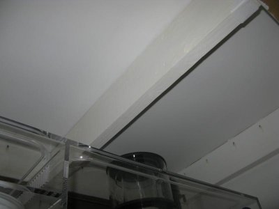 IMG_0197.jpg
