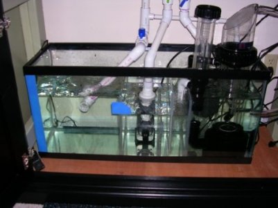 DSCN2115 (475 x 356).jpg