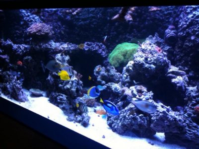 photo (7).jpg
