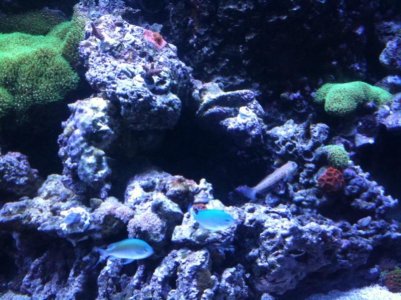 photo (10).jpg