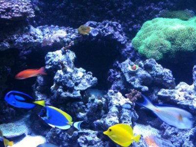 photo (11).jpg