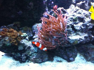 photo (12).jpg