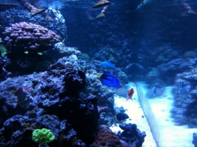 photo (13).jpg