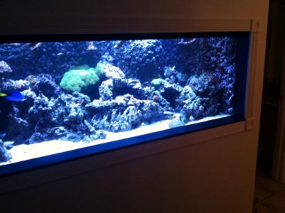 photo (15).jpg