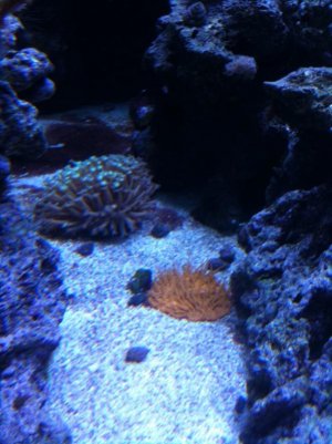 photo (16).jpg