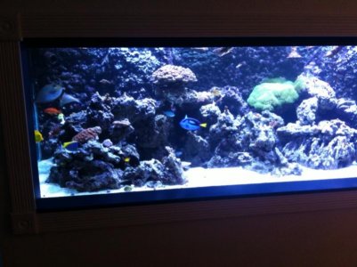photo (17).jpg