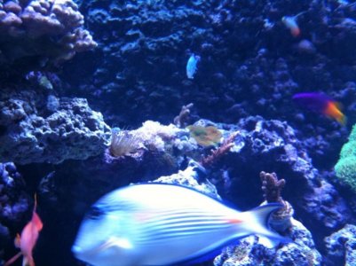 photo (18).jpg