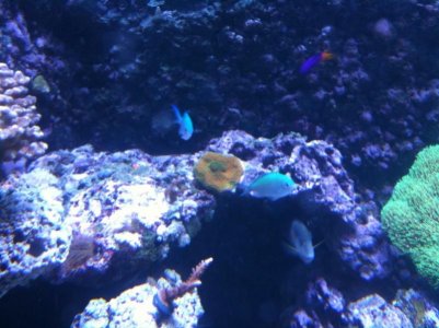 photo (19).jpg