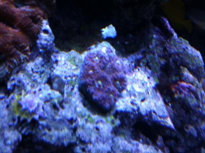 photo (20).jpg
