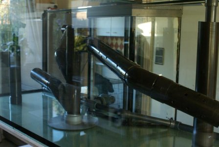 DSC08293 (Medium).JPG